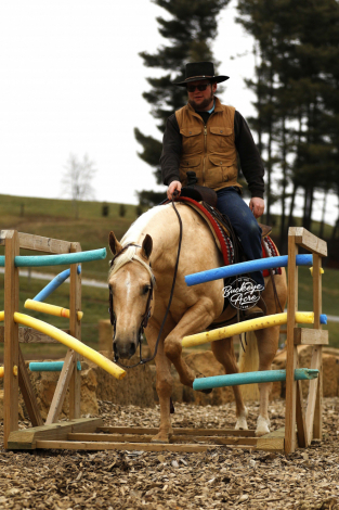 HorseID: 2309502 Yellow Guacamole - PhotoID: 1093946