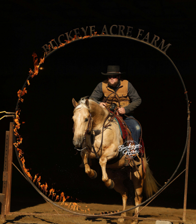 HorseID: 2309502 Yellow Guacamole - PhotoID: 1093947