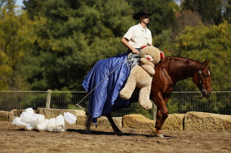 HorseID: 2309504 Trippin Me Up - PhotoID: 1093941