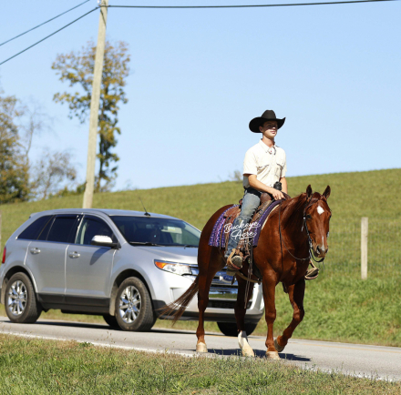 HorseID: 2309504 Trippin Me Up - PhotoID: 1093942