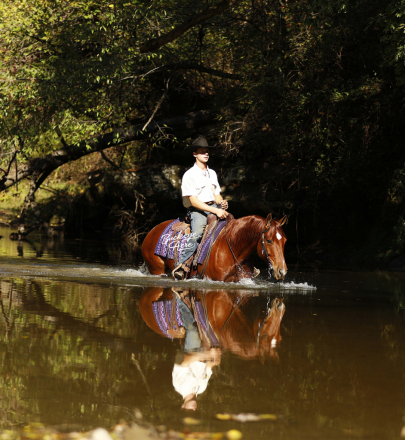 HorseID: 2309504 Trippin Me Up - PhotoID: 1093943