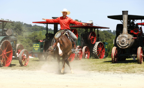 HorseID: 2309506 Promises Promises - PhotoID: 1093939