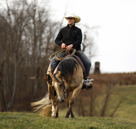 HorseID: 2309507 Pepperbee Cowboy - PhotoID: 1093926