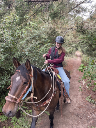 HorseID: 2309514 Gentle Canadian Horse - PhotoID: 1093952
