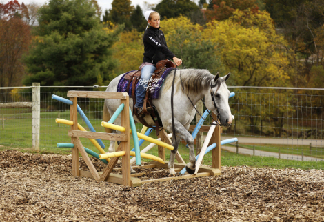 HorseID: 2309526 RE Missn Mecom 210 - PhotoID: 1093978