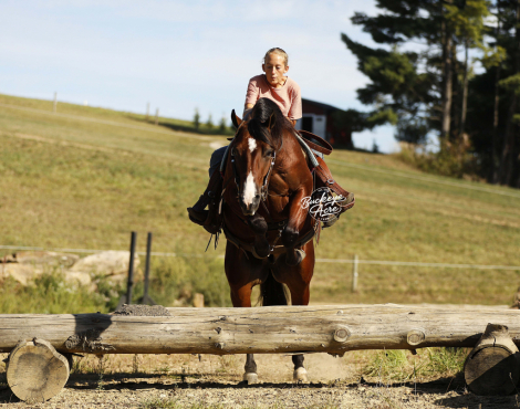 HorseID: 2309527 Metalic Bodee - PhotoID: 1093983