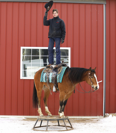 HorseID: 2309529 Buckeyes Atticus - PhotoID: 1093961