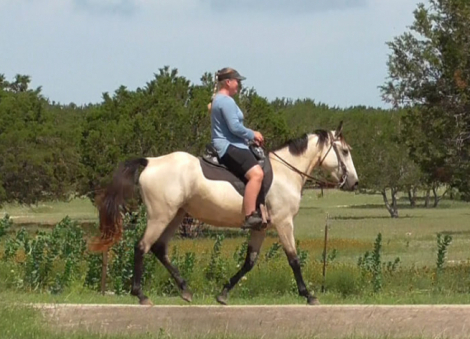 HorseID: 2309532 Rowdy Rhythm's Amazing Grace - PhotoID: 1093986