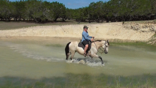 HorseID: 2309532 Rowdy Rhythm's Amazing Grace - PhotoID: 1093987