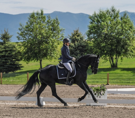 HorseID: 2309538 Freya - PhotoID: 1094014