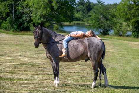 HorseID: 2309540 McCurdy's Monkey - PhotoID: 1094017