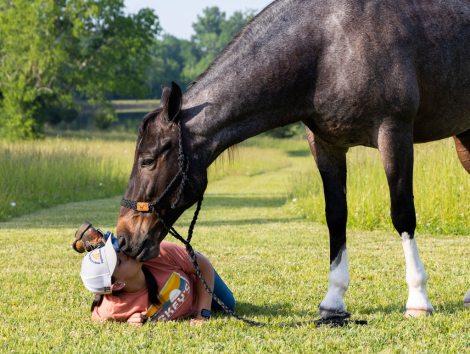 HorseID: 2309540 McCurdy's Monkey - PhotoID: 1094020