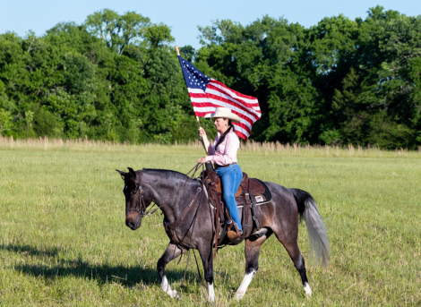 HorseID: 2309540 McCurdy's Monkey - PhotoID: 1094021