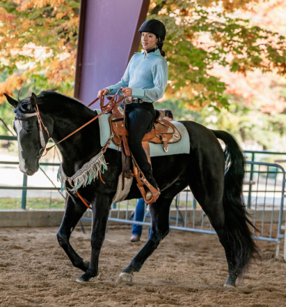 HorseID: 2309556 Wicked At Midnight - PhotoID: 1094039