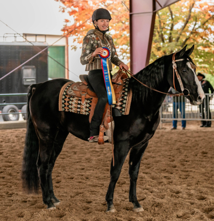 HorseID: 2309556 Wicked At Midnight - PhotoID: 1094040