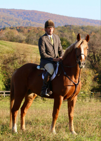 HorseID: 2309560 Christopher - PhotoID: 1094042
