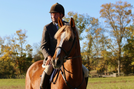 HorseID: 2309560 Christopher - PhotoID: 1094044