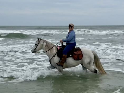 HorseID: 2309564 Bogey - PhotoID: 1094048