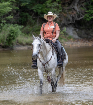 HorseID: 2309564 Bogey - PhotoID: 1094049