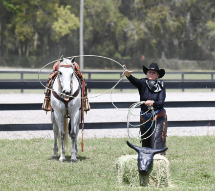 HorseID: 2309564 Bogey - PhotoID: 1094051