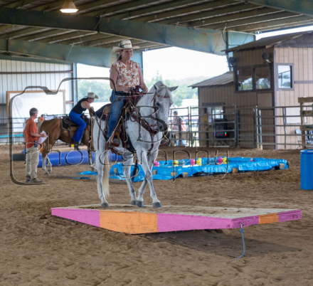 HorseID: 2309564 Bogey - PhotoID: 1094052