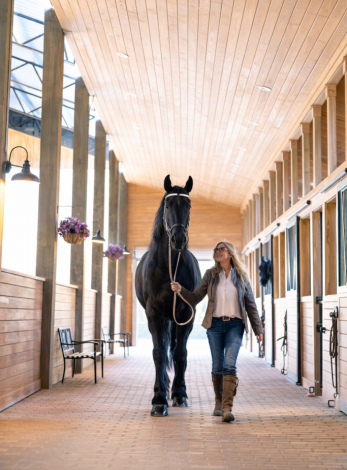 HorseID: 2309571 Al Capone of Varna - PhotoID: 1094055