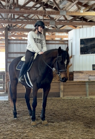 HorseID: 2309603 Unitedappeal - PhotoID: 1094081