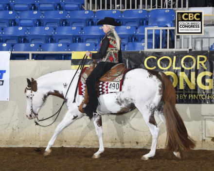 HorseID: 2182107 Impulsified / MDR Impulsified - PhotoID: 1091376