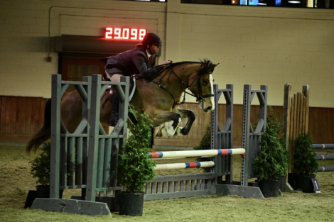 HorseID: 2238945 Maggie - PhotoID: 1092018