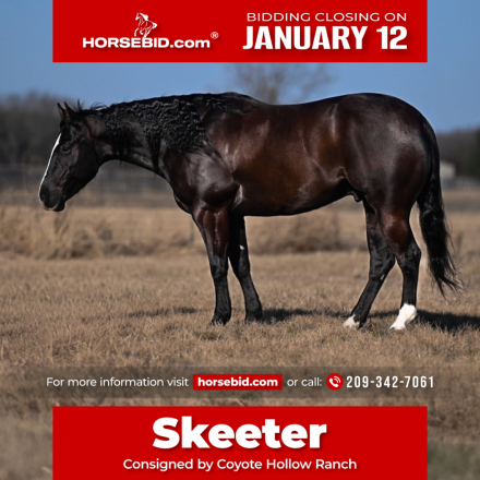 HorseID: 2246616 DDM THROWING SHADE - PhotoID: 1036978