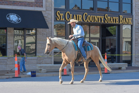 HorseID: 2246726 Commanders Fancy Eye - PhotoID: 1076466