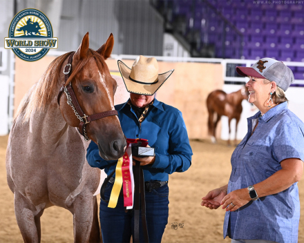 HorseID: 2247445 Kiss Me Dirty - PhotoID: 1068831