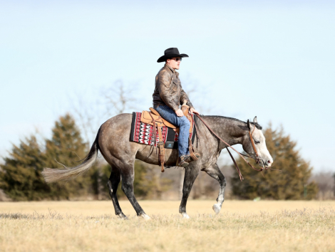 HorseID: 2247451 No Gutts No Glory - PhotoID: 1045925