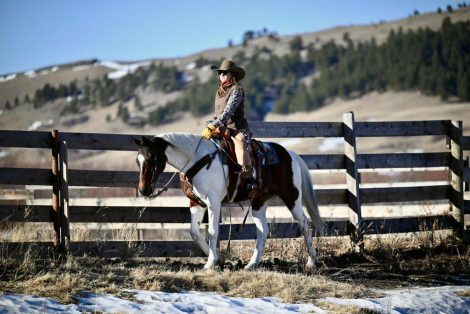 HorseID: 2247454 TONIS CURLY TOP - PhotoID: 1089906