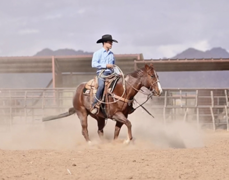 HorseID: 2247455 Huckleberry Hero - PhotoID: 1045891