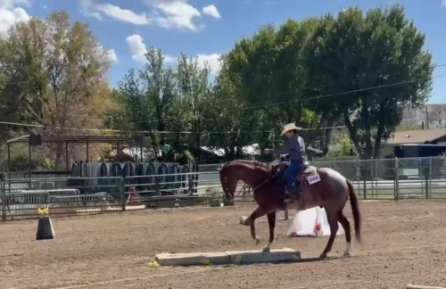 HorseID: 2247455 Huckleberry Hero - PhotoID: 1045892