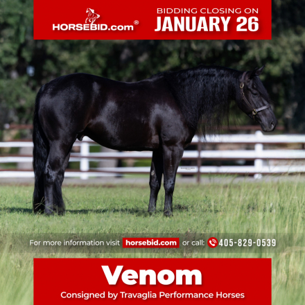 HorseID: 2249907 GUNNA BE SMOKEY - PhotoID: 1045908