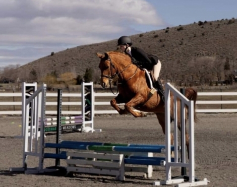 HorseID: 2252299 R Arrietty - PhotoID: 1036560