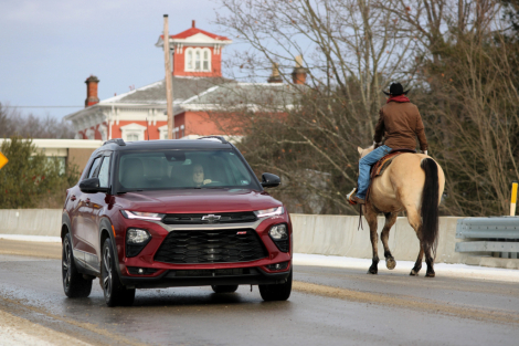 HorseID: 2253891 Drifter - PhotoID: 1036053