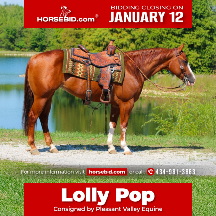 HorseID: 2253893 Not A Ruff Lolly - PhotoID: 1029661