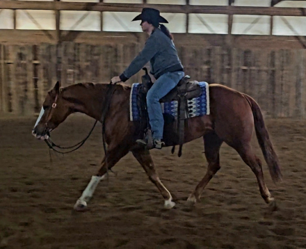 HorseID: 2253893 Not A Ruff Lolly - PhotoID: 1045916