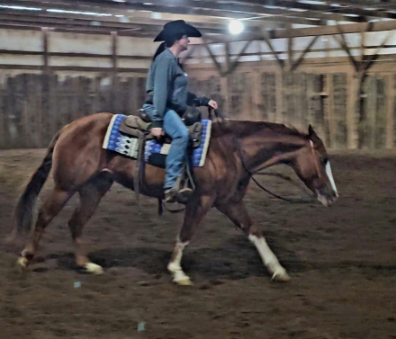 HorseID: 2253893 Not A Ruff Lolly - PhotoID: 1045917