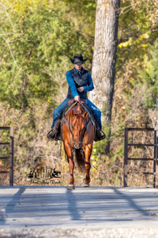 HorseID: 2253895 Mobsters At Alcatraz - PhotoID: 1045914