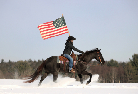 HorseID: 2260687 Eclipse - PhotoID: 1045920