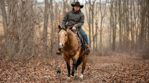 HorseID: 2262624 Two Red Hot - PhotoID: 1062982