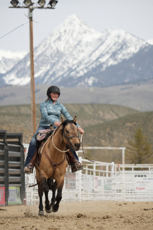 HorseID: 2264002 Docs Peppy Concord - PhotoID: 1066192