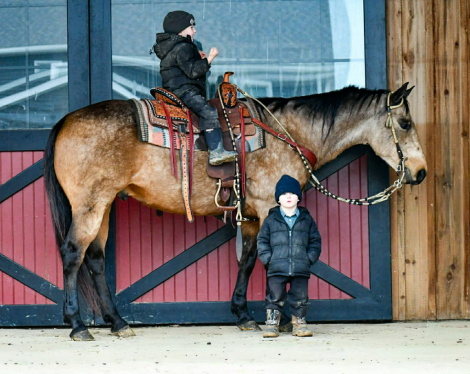 HorseID: 2275754 Logo - PhotoID: 1048800