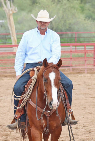 HorseID: 2275761 Levin Slye - PhotoID: 1048792