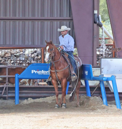 HorseID: 2275761 Levin Slye - PhotoID: 1070287