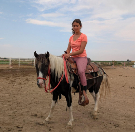 HorseID: 2276443 Twinkle toes - PhotoID: 1092191